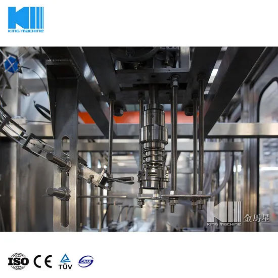 3L ~ 10l fles Aqua vulling / verpakking / make -machine